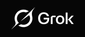 Ejemplo de chat con Grok